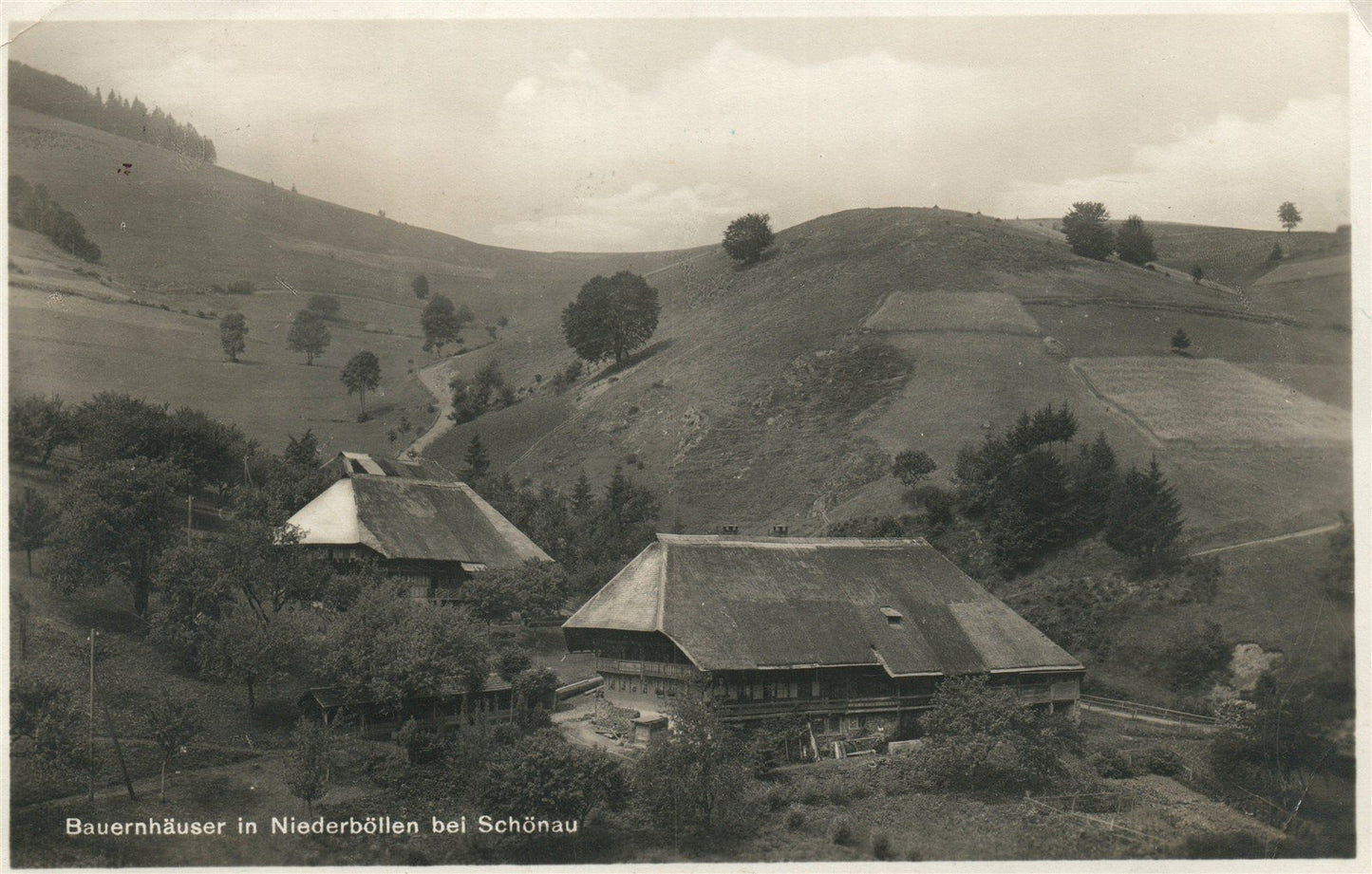 GERMANY NIEDERBOLLEN ANTIQUE REAL PHOTO POSTCARD RPPC