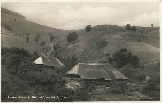 GERMANY NIEDERBOLLEN ANTIQUE REAL PHOTO POSTCARD RPPC