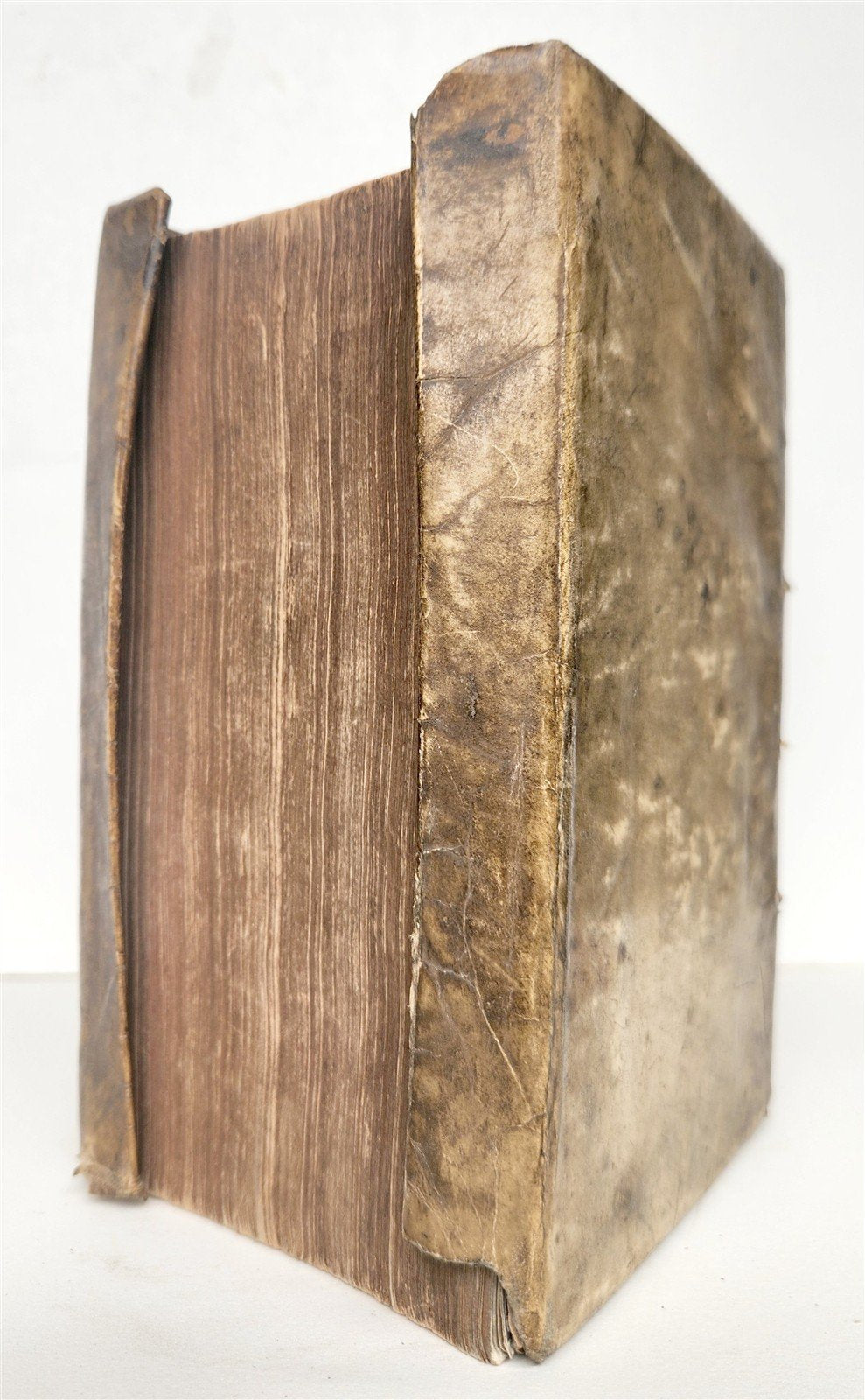 1588 TITUS LIVIUS ROMANAE HISTORIAE PRINCIPIS antique vellum bound ROMAN HISTORY