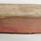 1552 TITUS LIVIUS ROMANAE HISTORIAE PRINCIPIS antique vellum bound ROMAN HISTORY