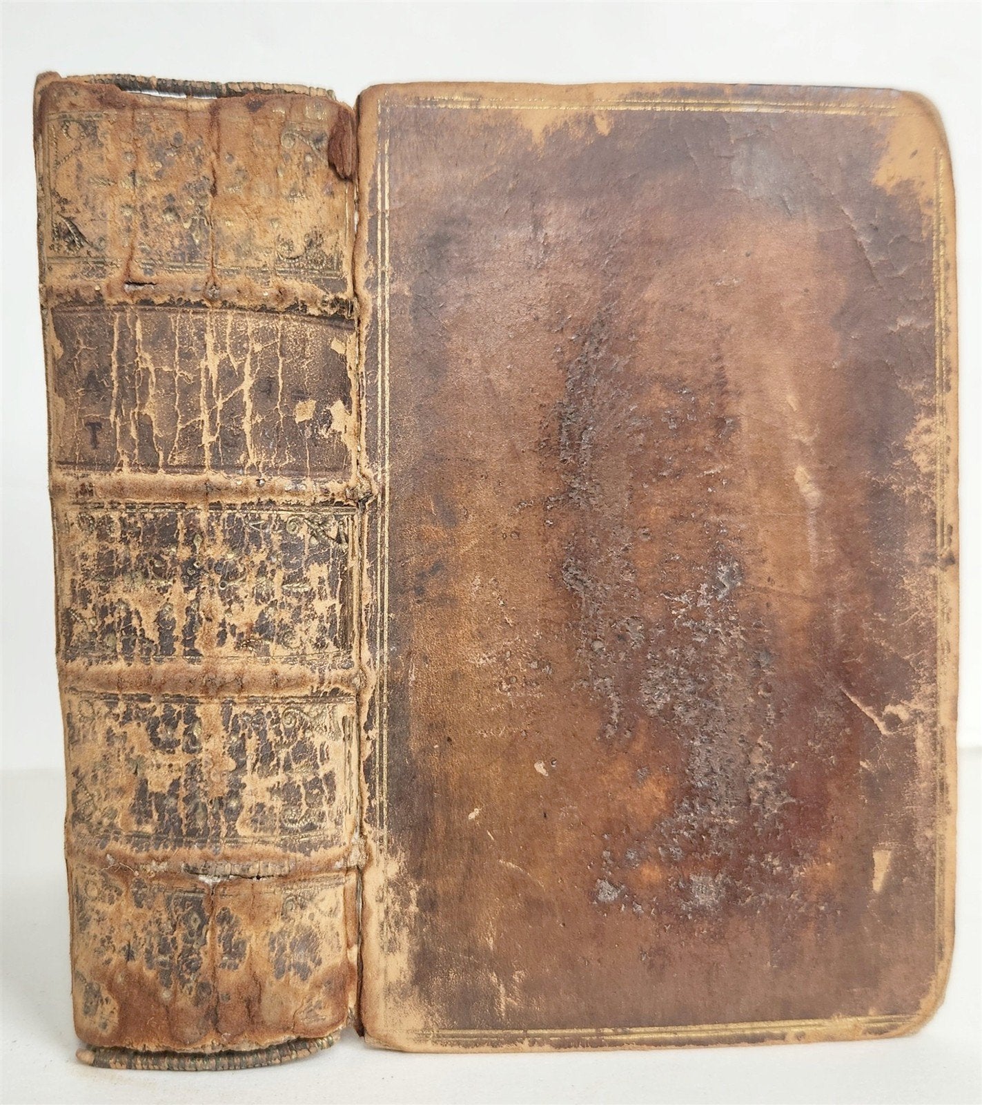 1560 APOPHTHEGMATA by ERASMUS antique 16th century