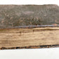 1576 ILLUSTRIUM POETARUM FLORES antique 16th century POETRY original binding