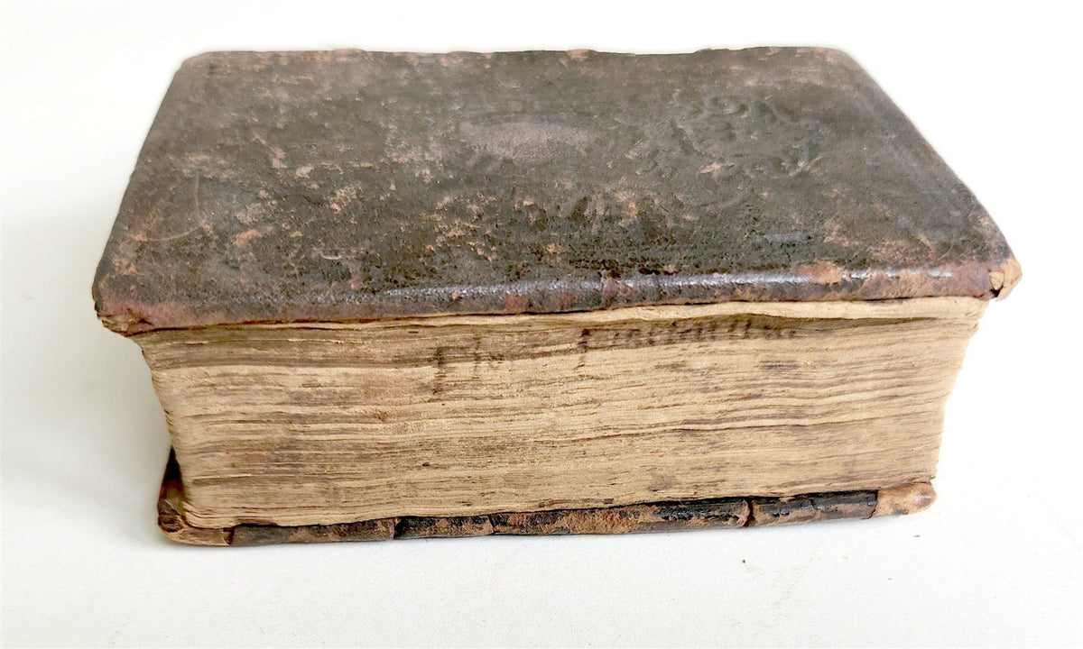 1576 ILLUSTRIUM POETARUM FLORES antique 16th century POETRY original binding