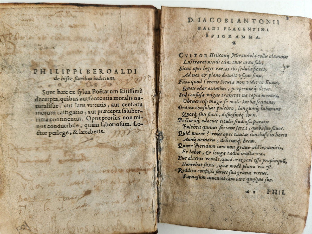 1576 ILLUSTRIUM POETARUM FLORES antique 16th century POETRY original binding