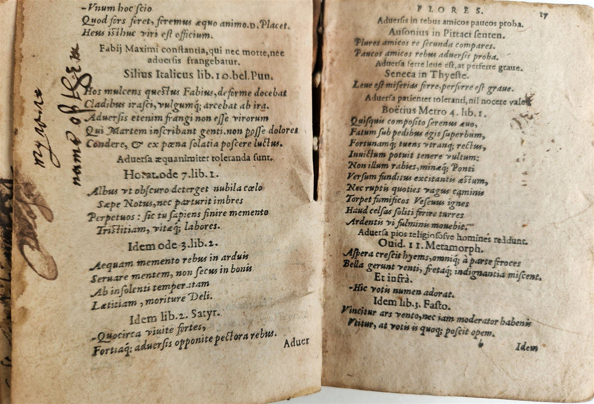1576 ILLUSTRIUM POETARUM FLORES antique 16th century POETRY original binding