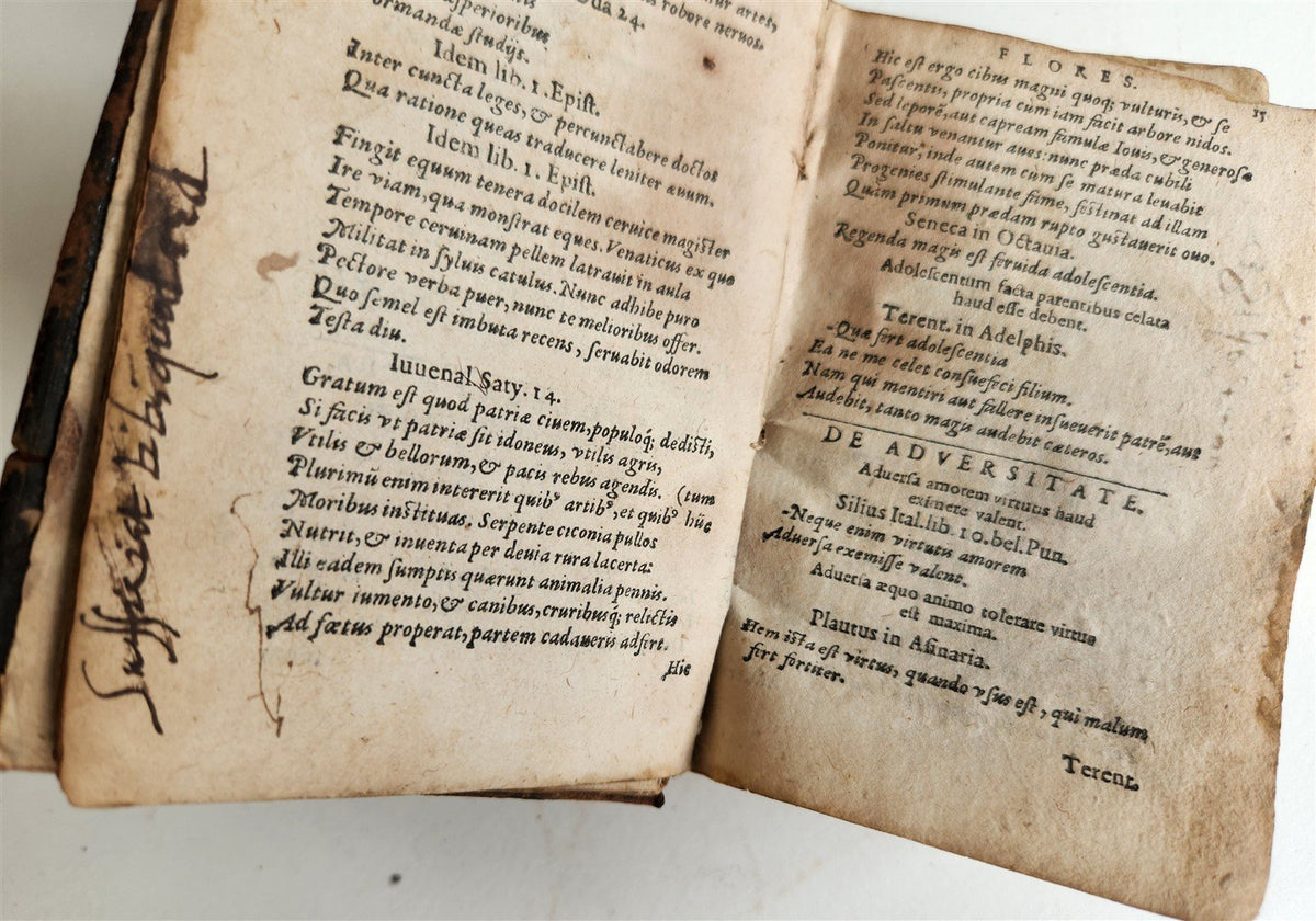 1576 ILLUSTRIUM POETARUM FLORES antique 16th century POETRY original binding