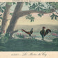 THEATRE PLAY CHANTECLER by EDMOND ROSTAND ANTIQUE FRENCH POSTCARD