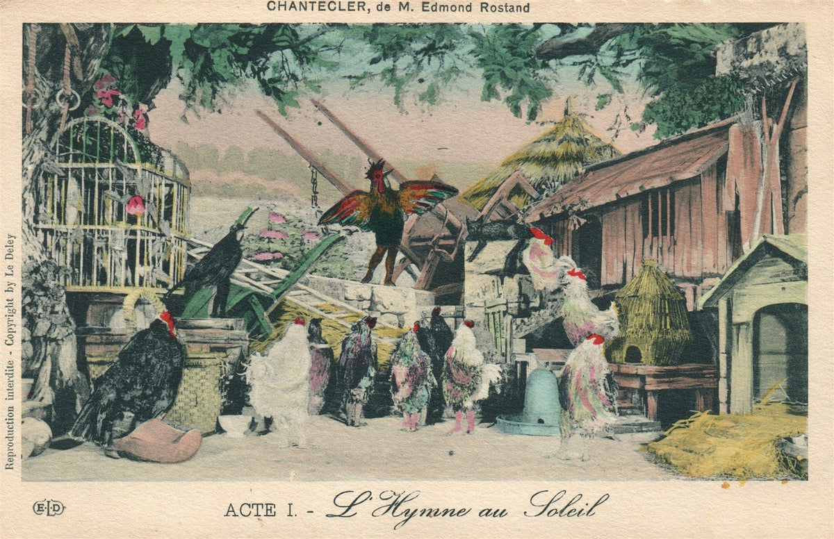 THEATRE PLAY CHANTECLER L'Hymne au Soleil by EDMOND ROSTAND ANTIQUE POSTCARD