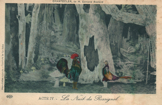 THEATRE PLAY CHANTECLER by EDMOND ROSTAND La Nuite du Rossignol ANTIQUE POSTCARD
