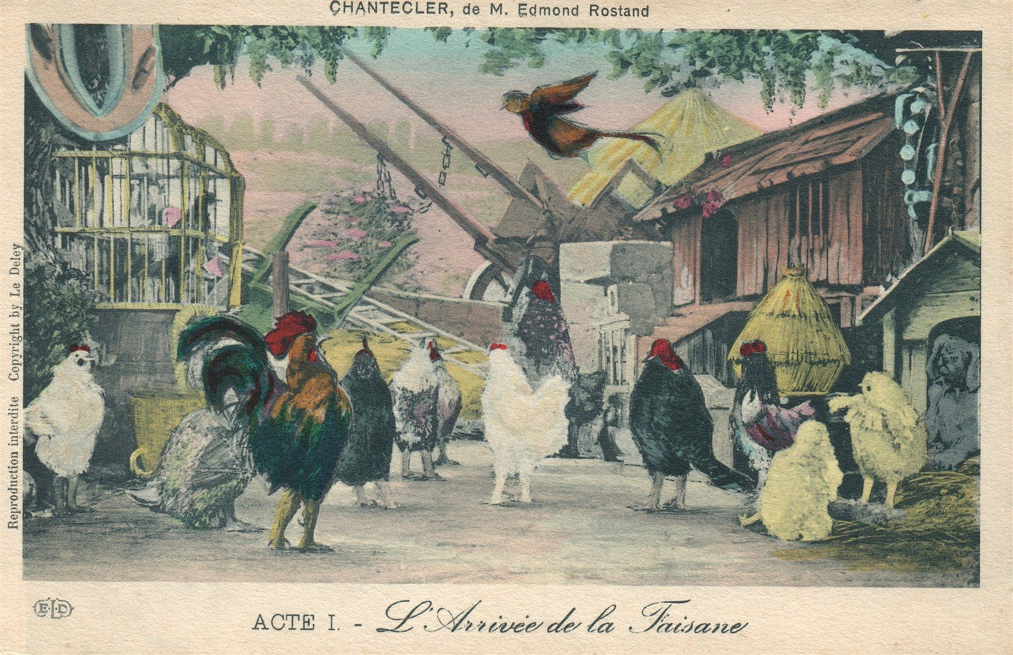 THEATRE PLAY CHANTECLER EDMOND ROSTAND L'arrivee de la Faisane ANTIQUE POSTCARD