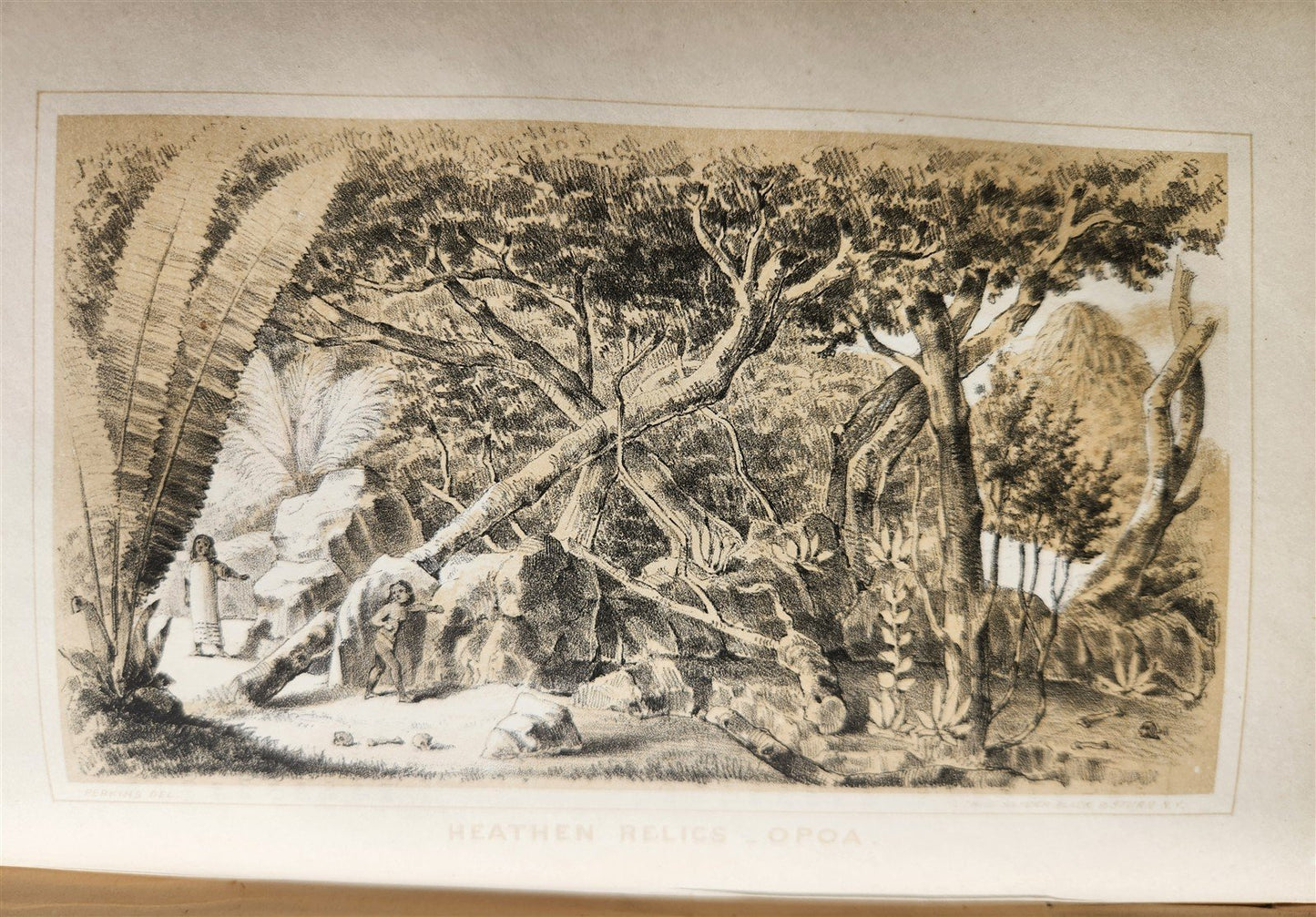 1854 Na Motu Reef-Rovings in South Seas HAWAII GEORGIAN SOCIETY ISLANDS antique