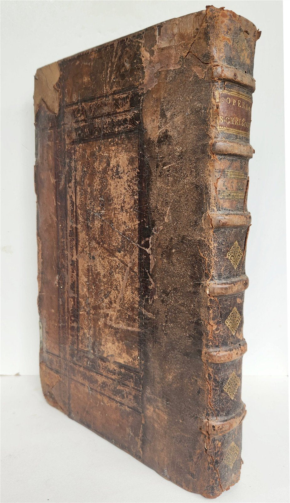 1556 John Chrysostom BIBLE COMMENTARIES antique WOMAN PRINTER 16th CENTURY FOLIO