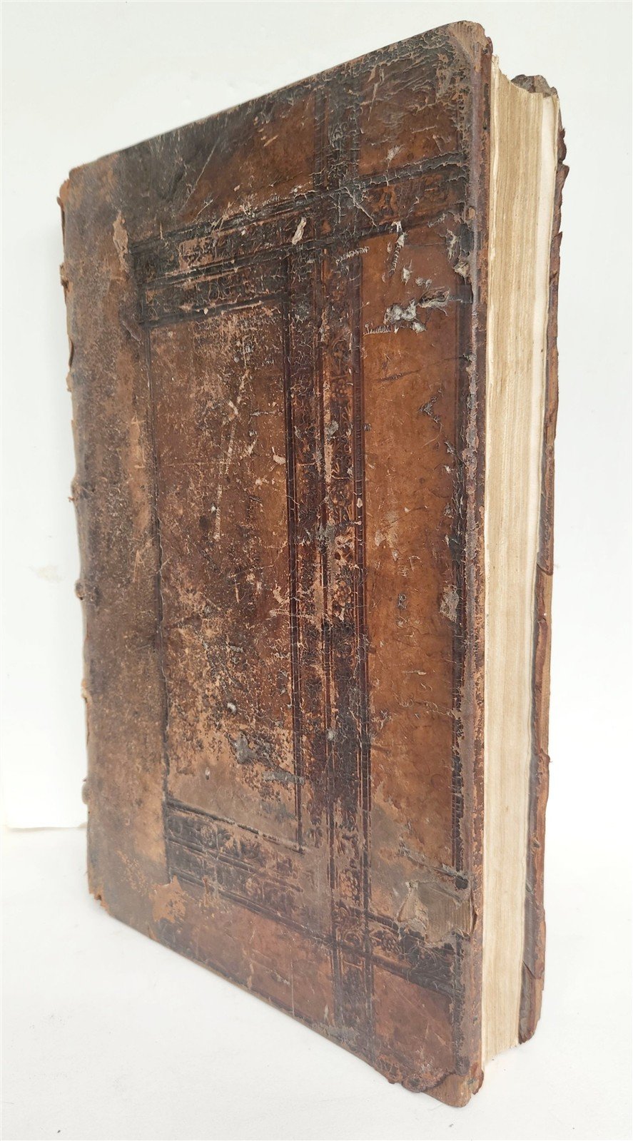 1556 John Chrysostom BIBLE COMMENTARIES antique WOMAN PRINTER 16th CENTURY FOLIO