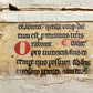 1556 John Chrysostom BIBLE COMMENTARIES antique WOMAN PRINTER 16th CENTURY FOLIO