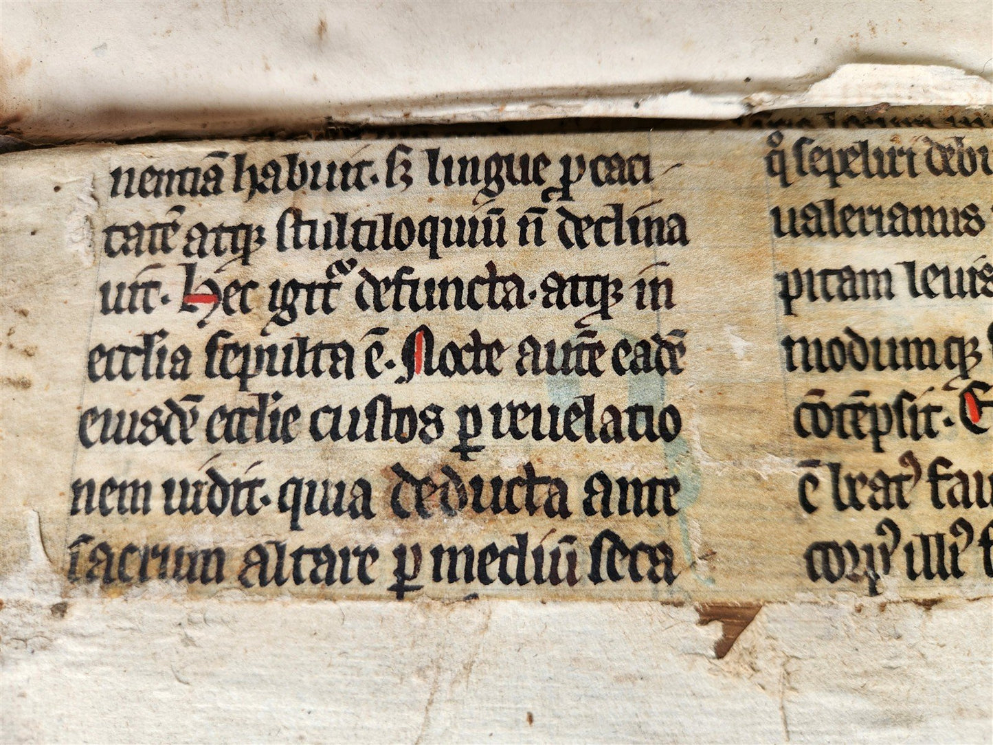 1556 John Chrysostom BIBLE COMMENTARIES antique WOMAN PRINTER 16th CENTURY FOLIO