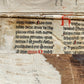 1556 John Chrysostom BIBLE COMMENTARIES antique WOMAN PRINTER 16th CENTURY FOLIO