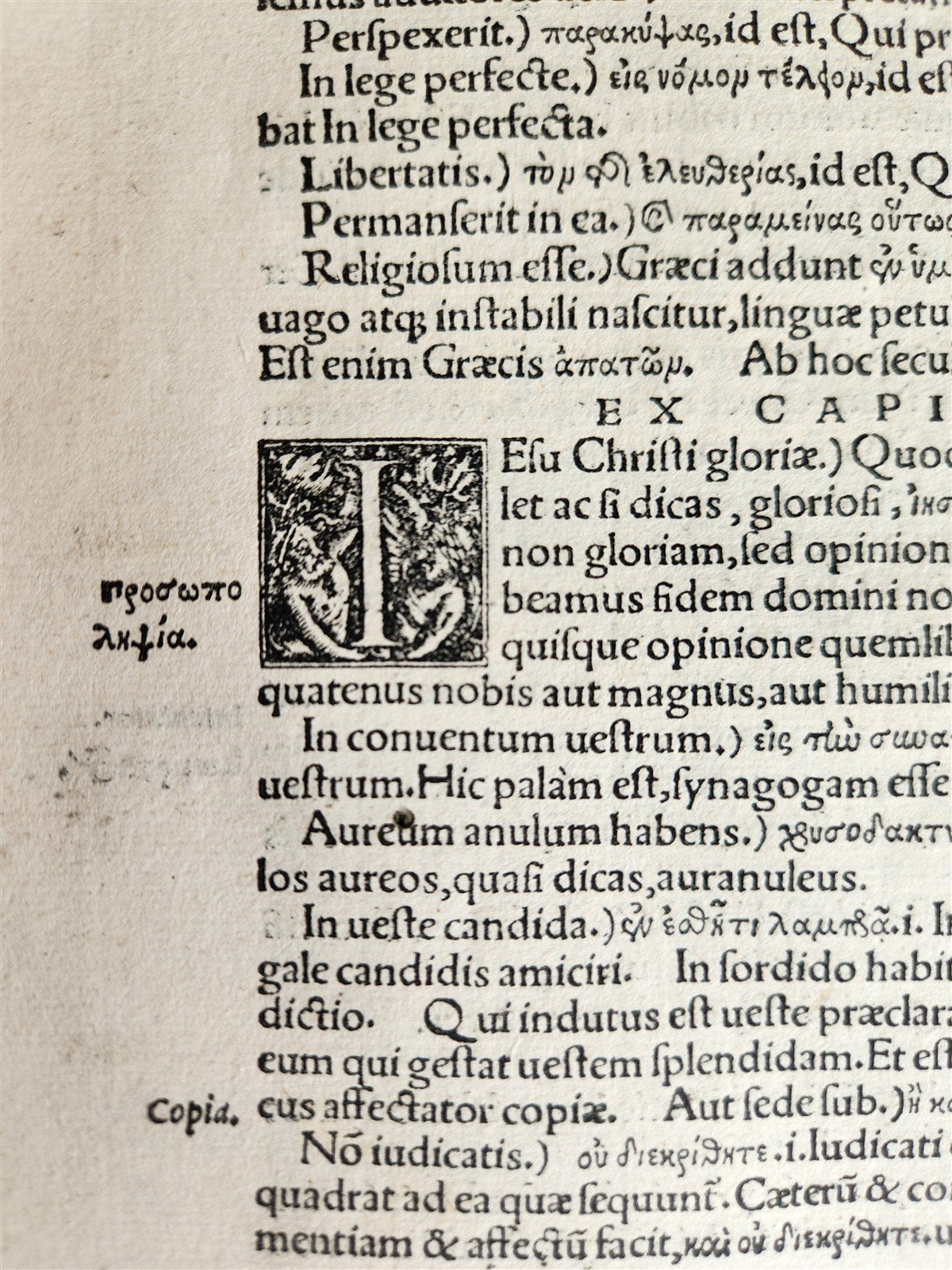 1527 POST-INCUNABULA BIBLE COMMENTARIES by ERASMUS antique 16th CENTURY FOLIO