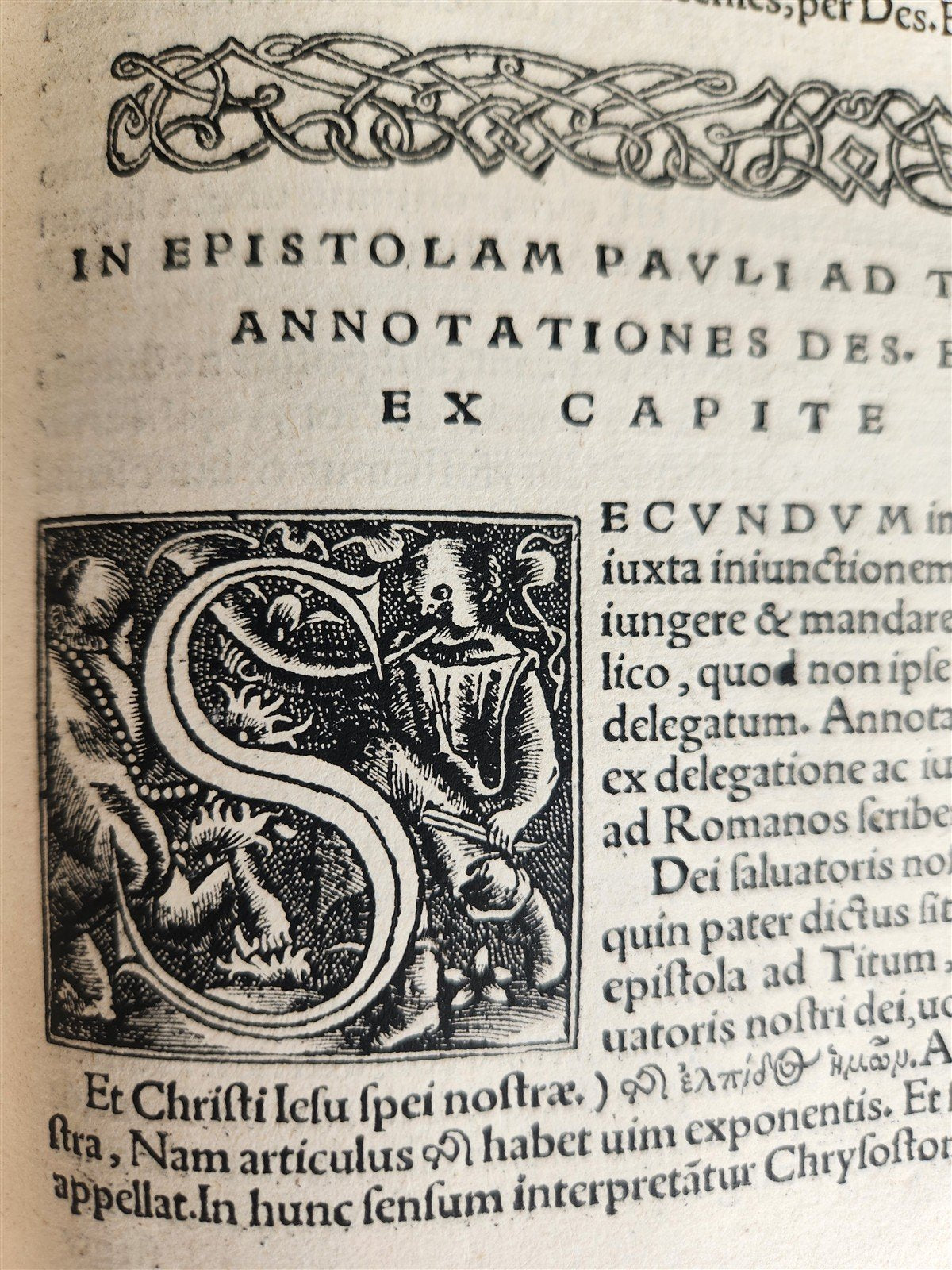 1527 POST-INCUNABULA BIBLE COMMENTARIES by ERASMUS antique 16th CENTURY FOLIO