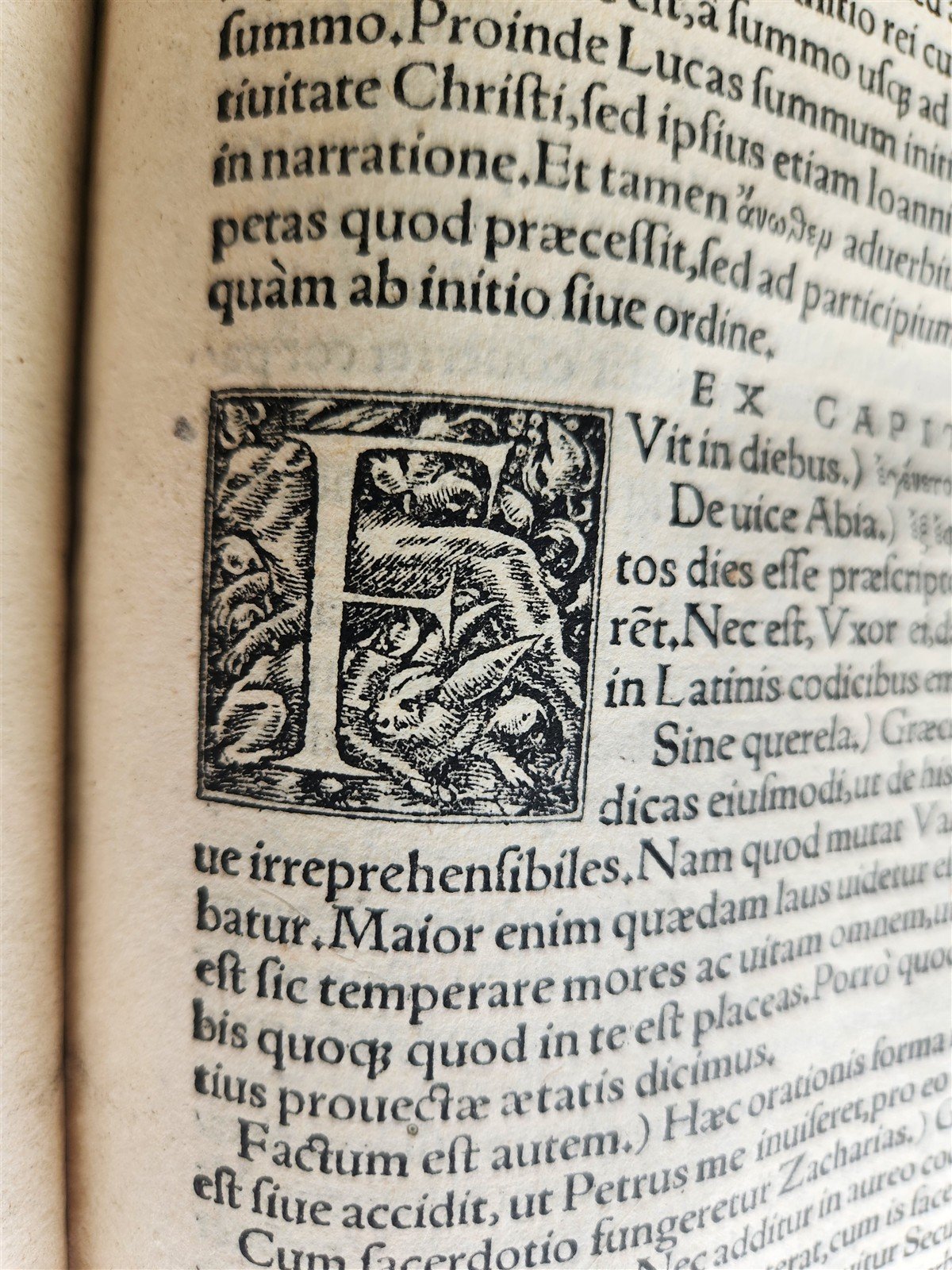 1527 POST-INCUNABULA BIBLE COMMENTARIES by ERASMUS antique 16th CENTURY FOLIO