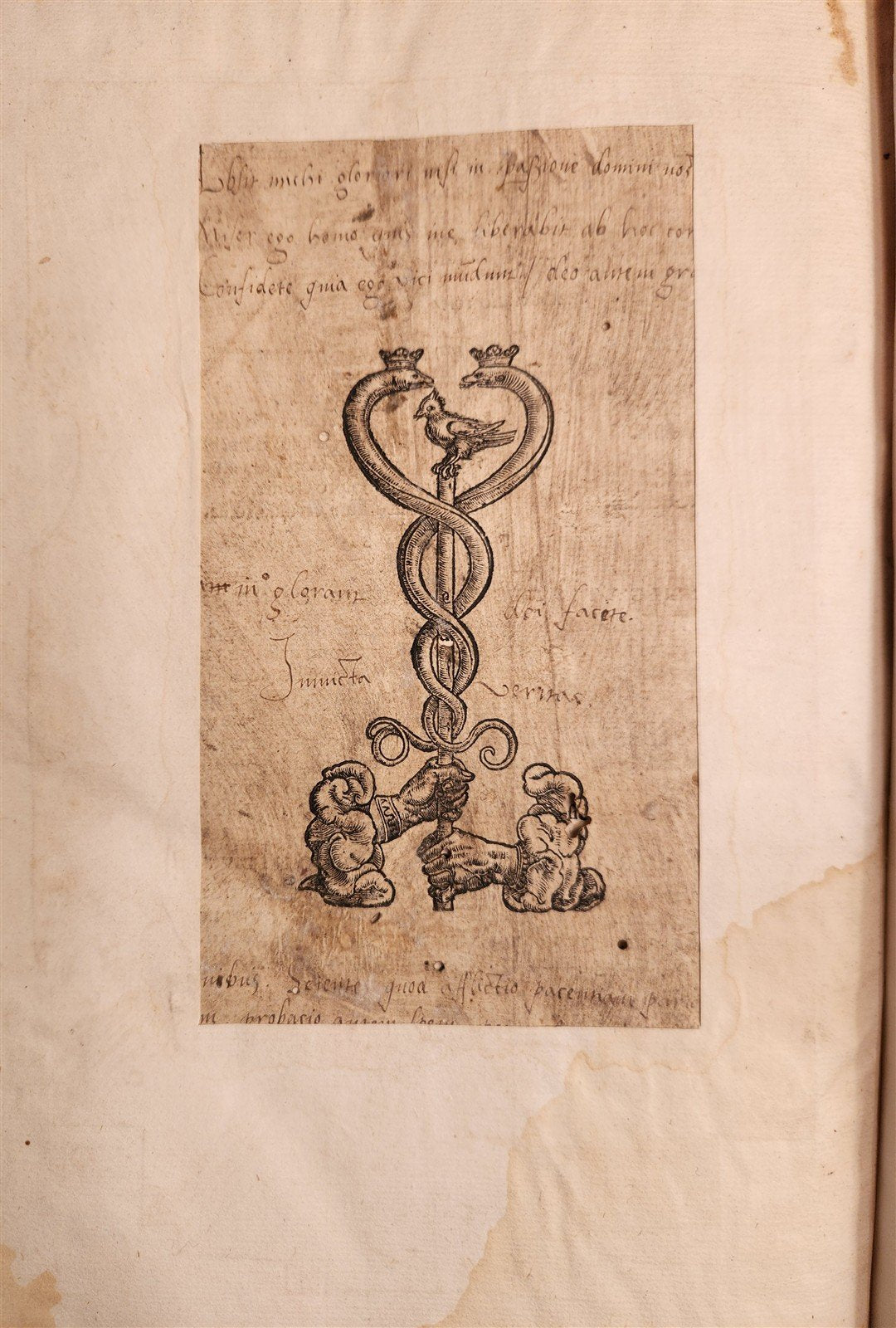 1527 POST-INCUNABULA BIBLE COMMENTARIES by ERASMUS antique 16th CENTURY FOLIO