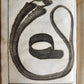 1803 ACCOUNT OF PELEW ISLANDS ANTIQUE ILLUSTRATED Palau ENGLISH by George Keate