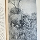 1910 AFRICAN GAME TRAILS by THEODORE ROOSEVELT antique ILLUSTRATED BOOK