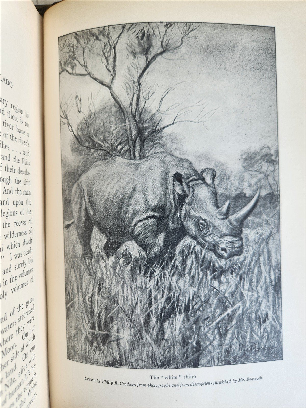 1910 AFRICAN GAME TRAILS by THEODORE ROOSEVELT antique ILLUSTRATED BOOK