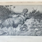1910 AFRICAN GAME TRAILS by THEODORE ROOSEVELT antique ILLUSTRATED BOOK