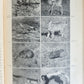 1910 AFRICAN GAME TRAILS by THEODORE ROOSEVELT antique ILLUSTRATED BOOK