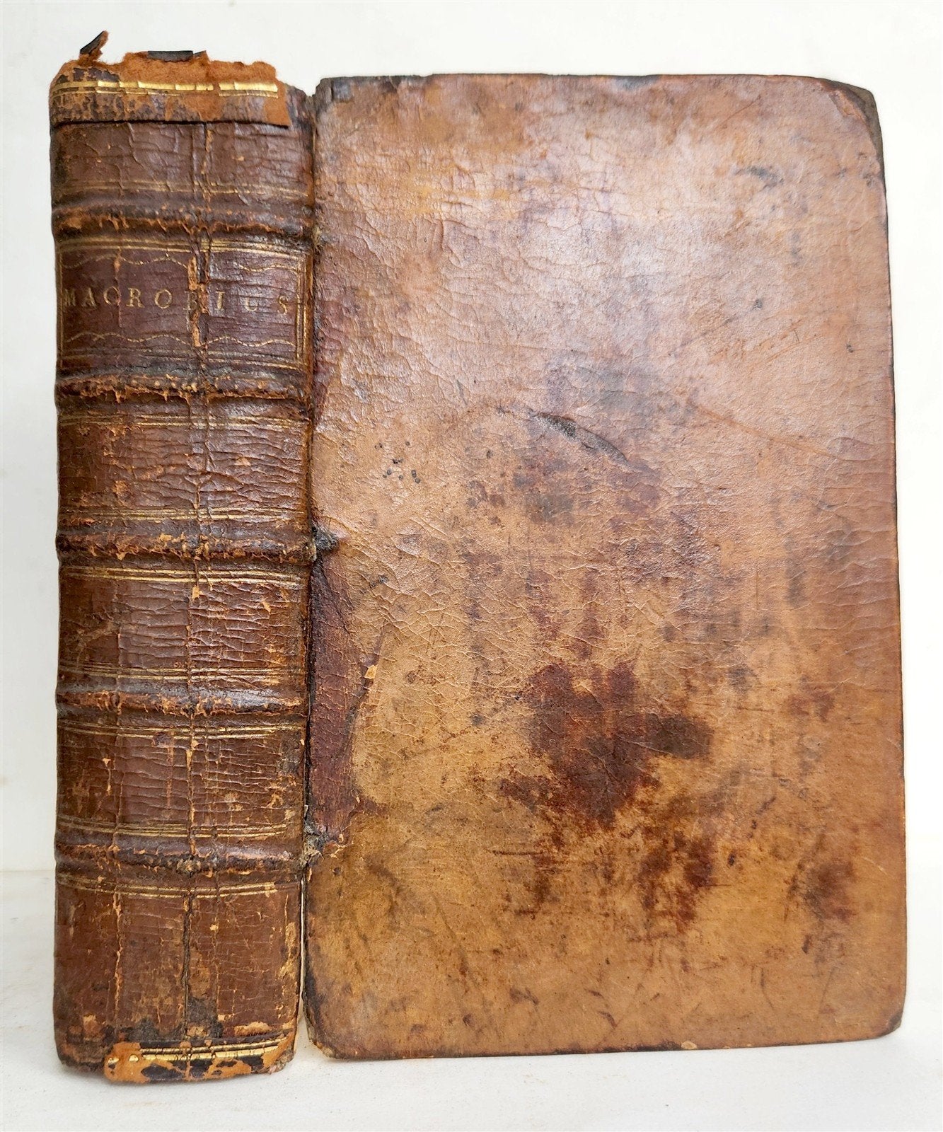 1597 MACROBIUS OPERA w/ SATURNALIA antique 16th CENTURY PLANTIN PRESS