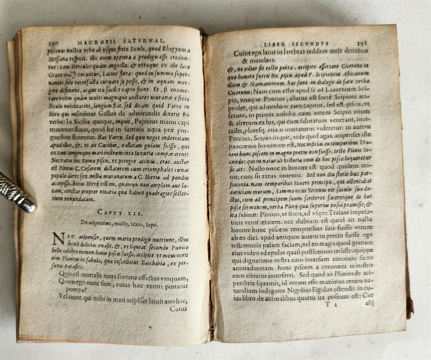 1597 MACROBIUS OPERA w/ SATURNALIA antique 16th CENTURY PLANTIN PRESS