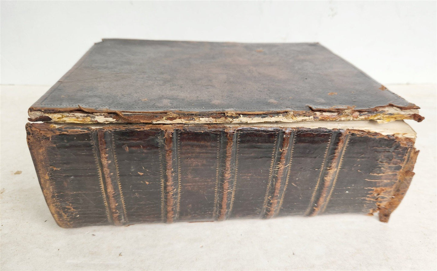1739 BIBLE HISTORY in ENGLISH antique ILLUSTRATED OLD AND NEW TESTAMENT