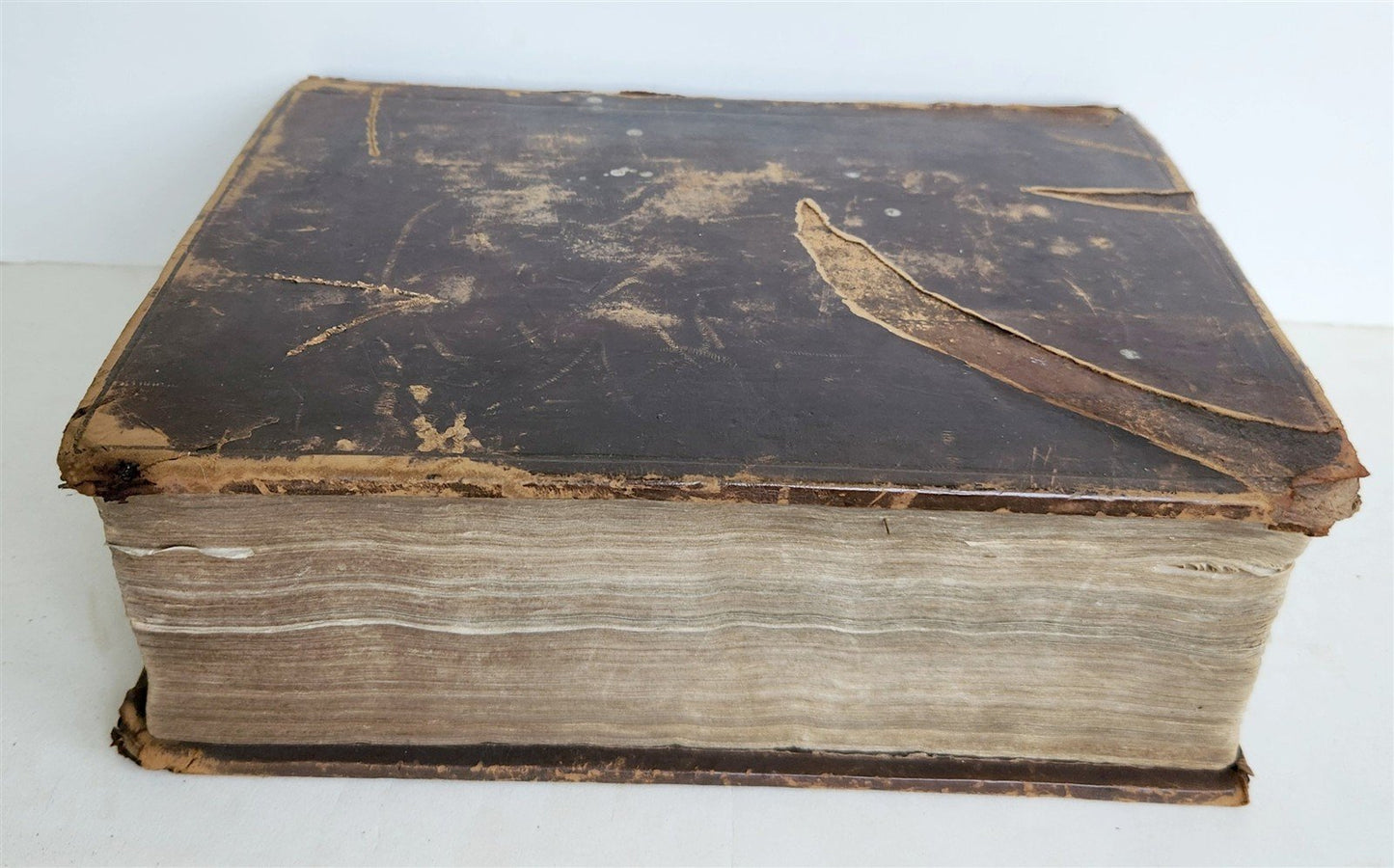 1704 BIBLE in ENGLISH OLD and NEW TESTAMENTS antique LONDON
