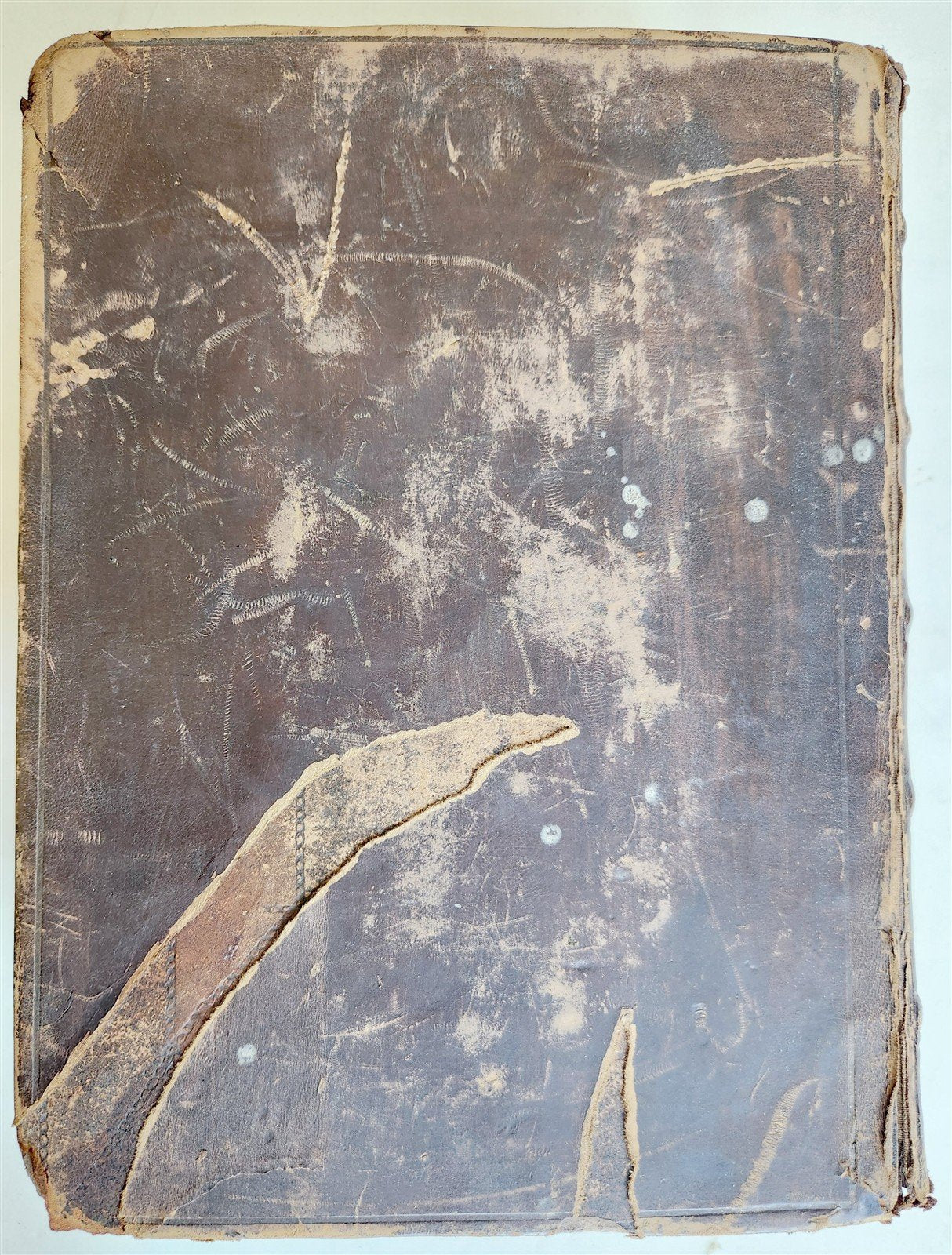 1704 BIBLE in ENGLISH OLD and NEW TESTAMENTS antique LONDON