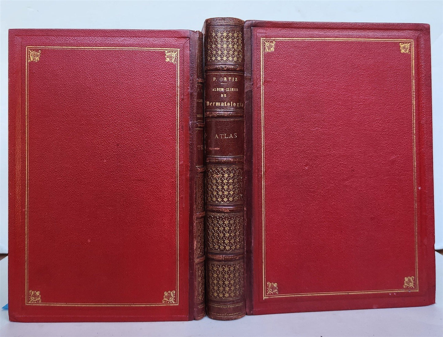 1886 DERMATOLOGY ILLUSTRATED w/ 64 COLOR PLATES 2 VOLUMES in SPANISH antique
