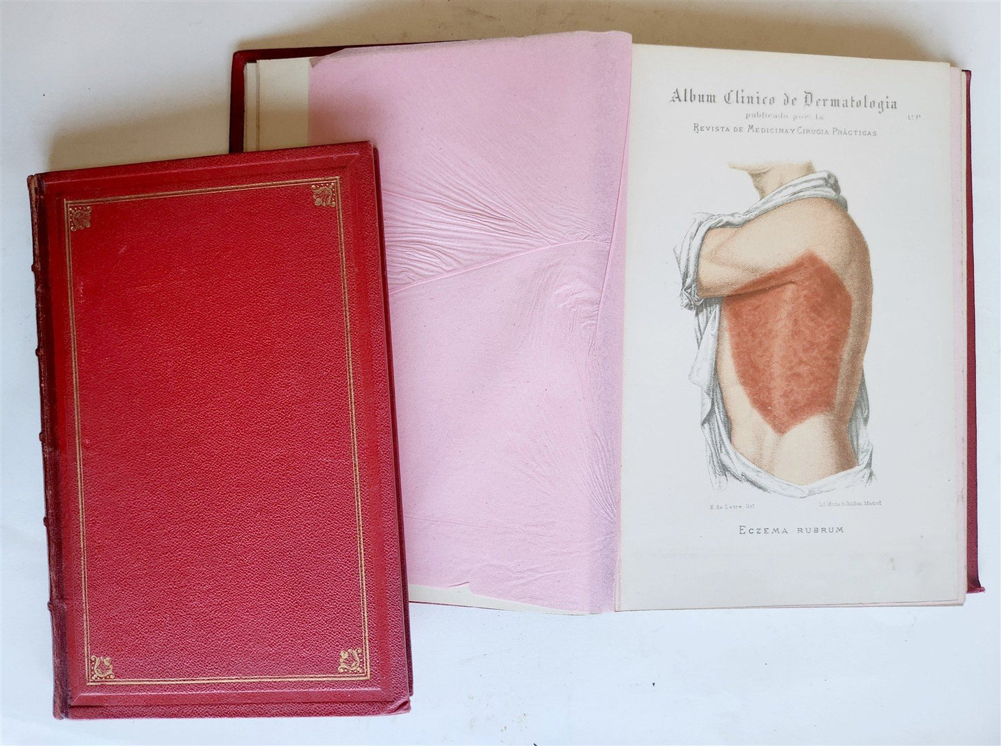 1886 DERMATOLOGY ILLUSTRATED w/ 64 COLOR PLATES 2 VOLUMES in SPANISH antique