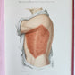 1886 DERMATOLOGY ILLUSTRATED w/ 64 COLOR PLATES 2 VOLUMES in SPANISH antique