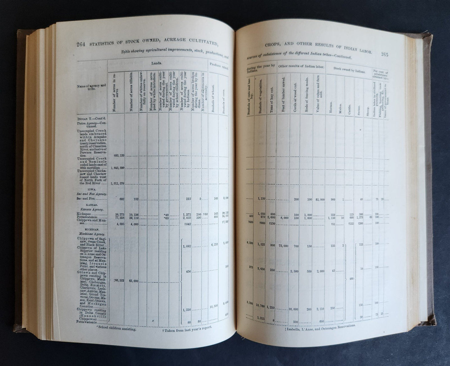 1880 REPORT of COMMISSIONER OF INDIAN AFFAIRS antique w/ MAPS of RESERVATIONS