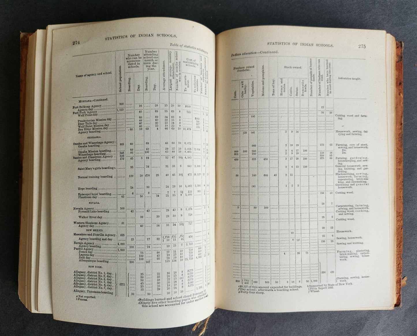 1884 COMMISSIONER OF INDIAN AFFAIRS REPORT illustrated w/MAP antique AMERICANA