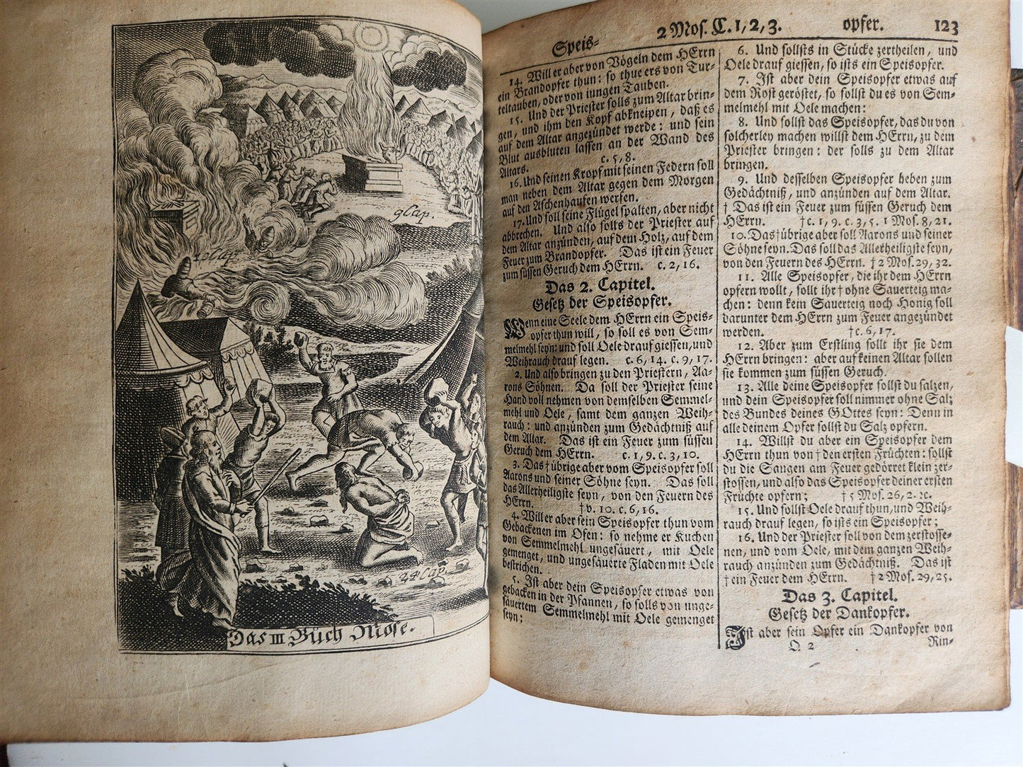 1748 BIBLE in GERMAN Old & New Testament antique ILLUSTRATED pigskin binding