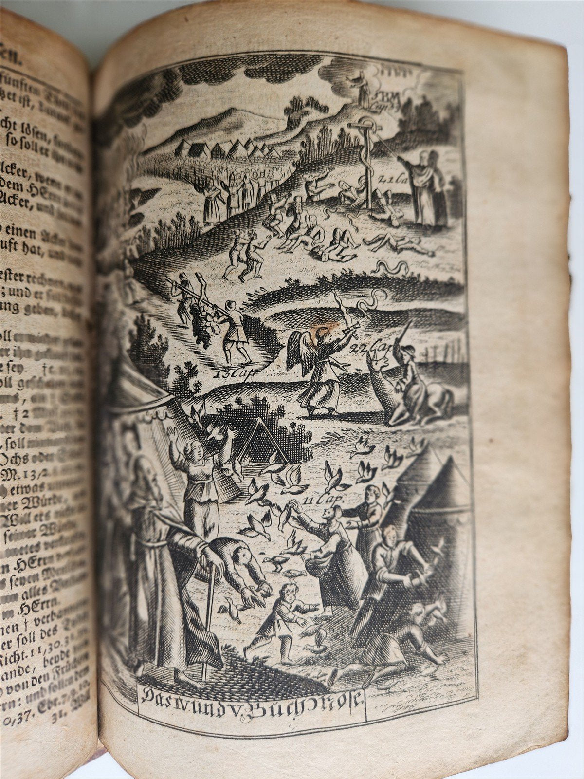1748 BIBLE in GERMAN Old & New Testament antique ILLUSTRATED pigskin binding