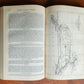 1878 COMMISSIONER OF INDIAN AFFAIRS REPORT illustrated w/MAP antique AMERICANA