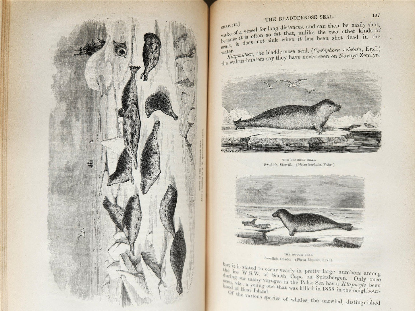 1882 VOYAGE OF THE VEGA bound ASIA & EUROPE by Nordenskiold antique ILLUSTRATED
