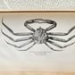 1882 VOYAGE OF THE VEGA bound ASIA & EUROPE by Nordenskiold antique ILLUSTRATED