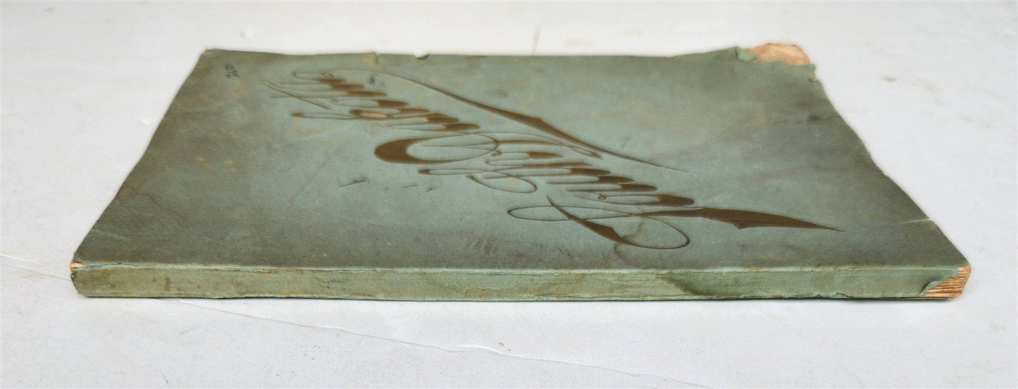1893 Historical Review of South Dakota's Enterprising Cities antique ILLUSTRATED