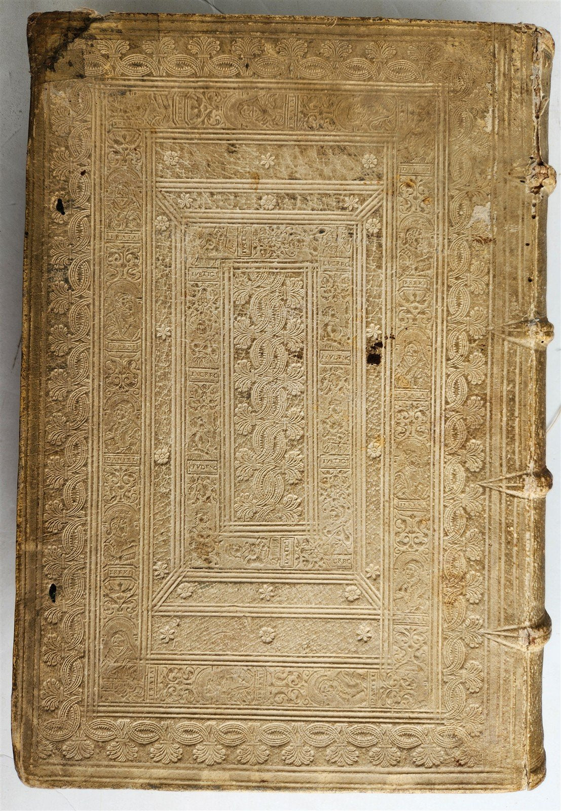 1557 Guillaume Bude COMMENTARII LINGUAE GRAECAE antique PIGSKIN BOUND FOLIO