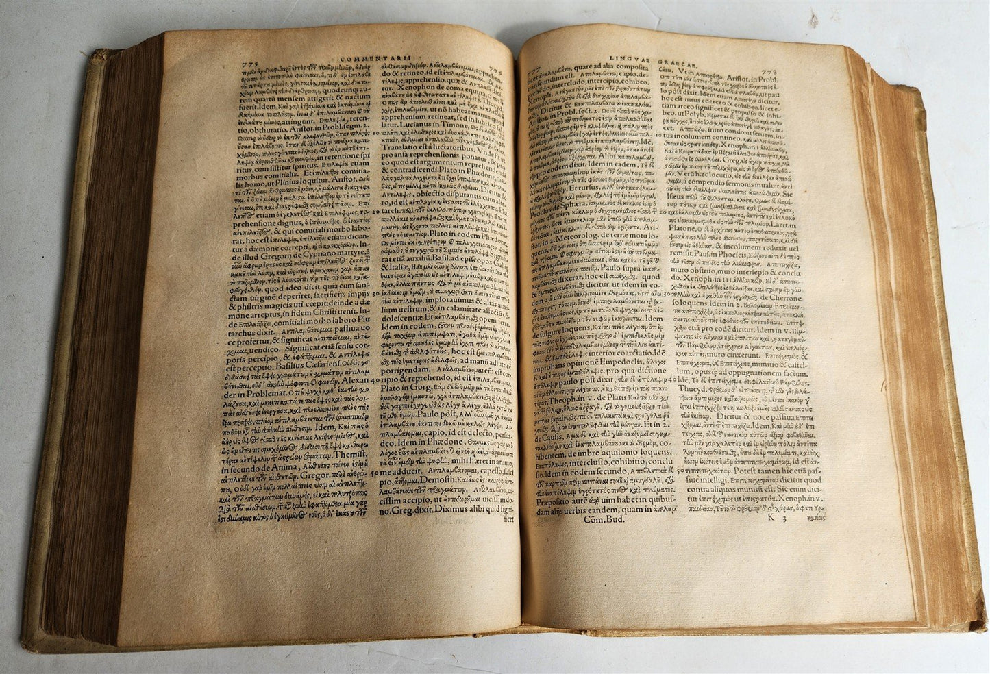 1557 Guillaume Bude COMMENTARII LINGUAE GRAECAE antique PIGSKIN BOUND FOLIO
