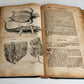1666 HISTORY of CARIBBY ISLAND 1st ENGLISH EDITION antique ILLUSTRATED rare