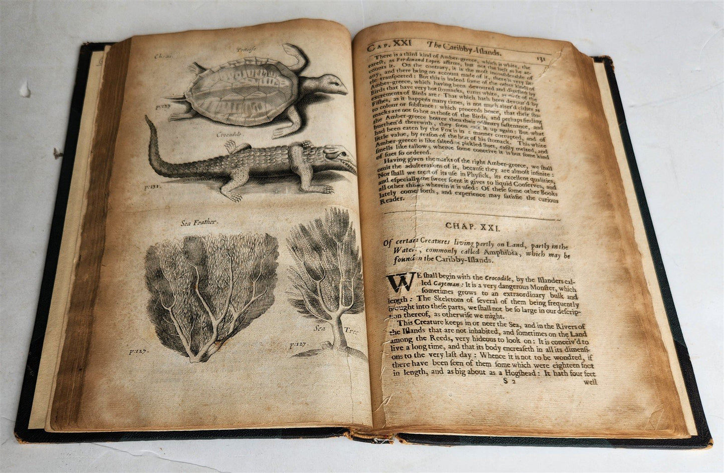 1666 HISTORY of CARIBBY ISLAND 1st ENGLISH EDITION antique ILLUSTRATED rare
