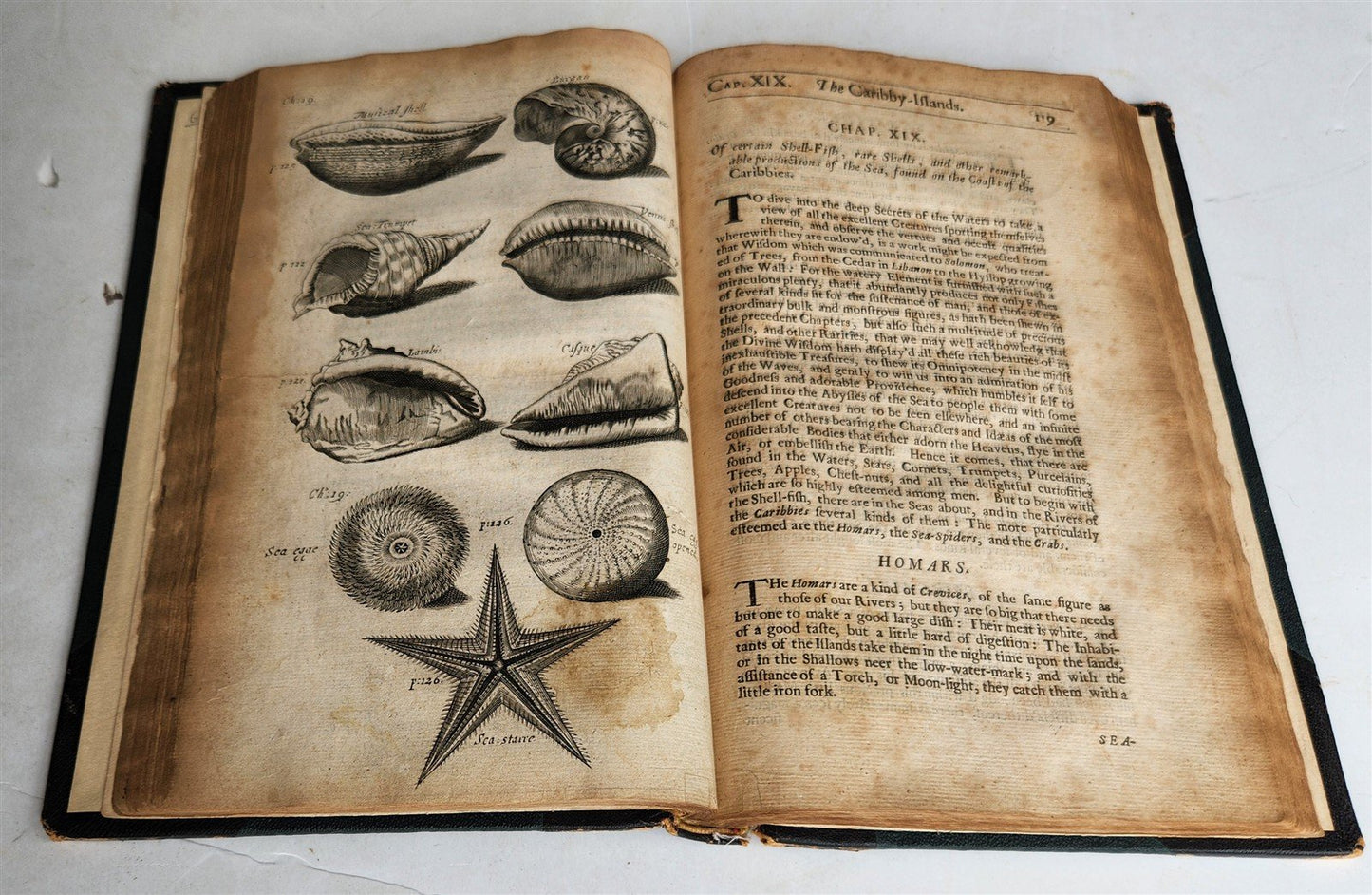 1666 HISTORY of CARIBBY ISLAND 1st ENGLISH EDITION antique ILLUSTRATED rare